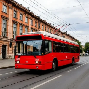 Работники, назначенные в качестве лиц, ответственных за обеспечение транспортной безопасности на объекте транспортной инфраструктуры и (или) транспортном средстве, и персонал специализированных организаций на автомобильном и городском наземном электрическом транспорте и в сфере дорожного хозяйства
